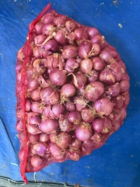 Sambar Onion