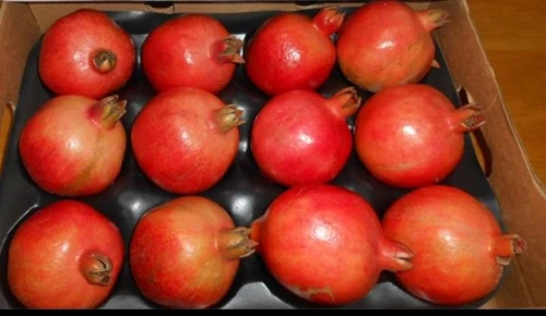 Pomegranate