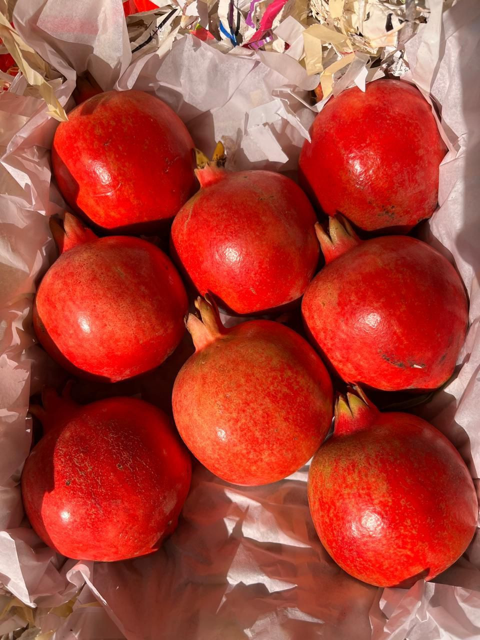 Pomegranate