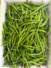 Green Chilli