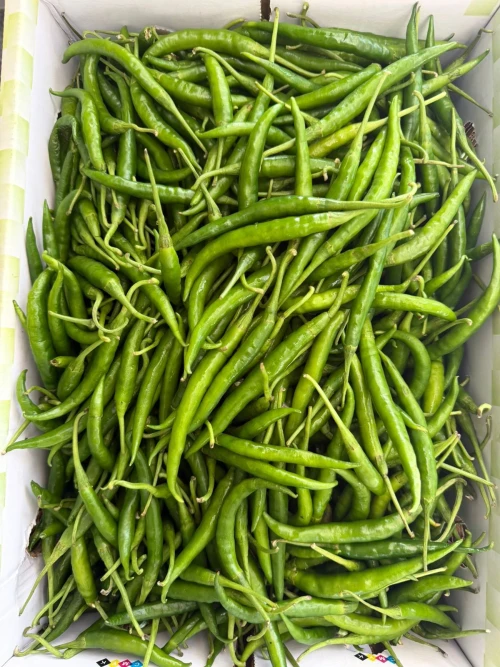 Green Chilli