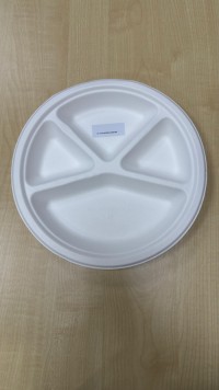 Bagasse Paper Plate