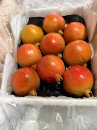 Pomegranate